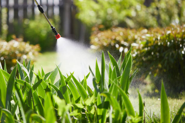 24/7 Emergency Cockroach Control experts in Oak Island, NC