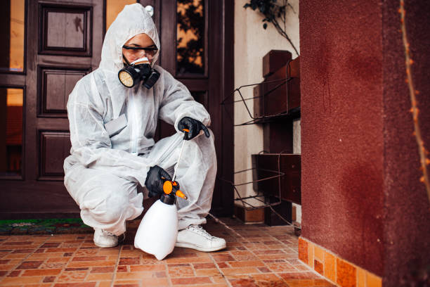 Reliable Cockroach Control contractor in Oak Island, NC by Nex Pest Control